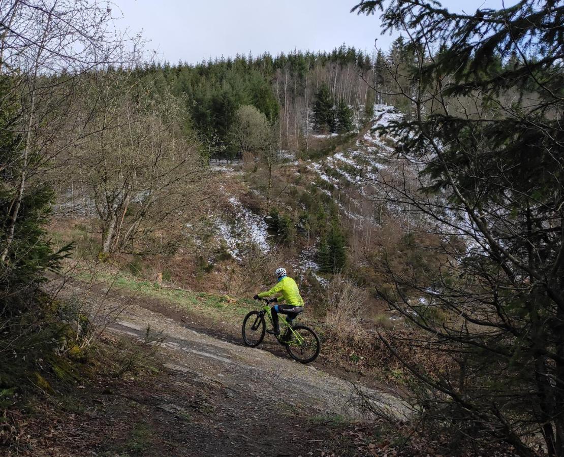 Le Héron Houffalize Extérieur photo